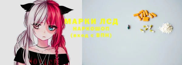крисы Алзамай